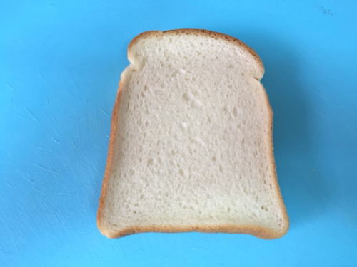 自由研究実験用の食パン