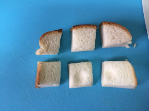 自由研究実験用の食パン