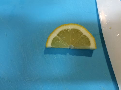 自由研究実験用のレモン